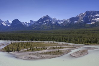 Athabasca River with glacial meltwater carrying rock flour in front of the Rocky Mountains, Jasper