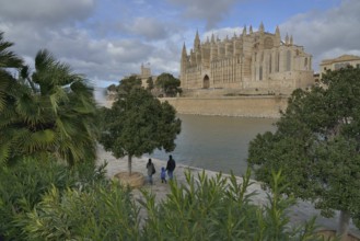 La Seu Cathedral, Palma Cathedral, Palma, Majorca, Balearic Islands, Spain, Europe