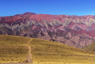 Cerro de 14 colores, Mountains of 14 Colours, Andes, altitude 4350m, Quebrada de Humahuaca,