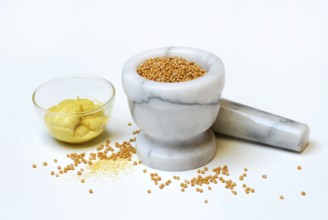 Bowl of mustard (Sinapis alba) , mustard seeds in mortar, mortar, mustard seeds, mustard seed