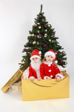 Children dressed up as Santa Claus, in big gift, on the Christmas tree, decorated Christmas tree,