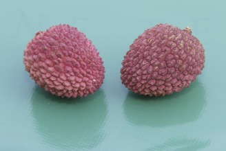 Lychee-Fruit (Litchi chinensis)