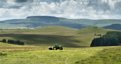 Cezallier plateau. Farmer rowing up hay in the Auvergne volcanoes regional natural park, Puy de