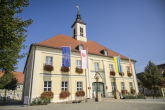 Old Town Hall, Market Square, Angermünde, Brandenburg, Germany, Europe