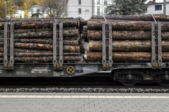 Rail freight transport Round timber SBB Cargo International