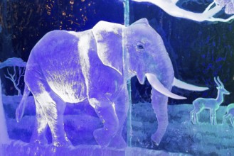 Elephant, Ice Sculpture Festival, Zwolle, Province of Overijssel, Netherlands