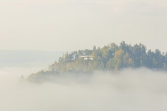 Bear Stones in the Morning Mist