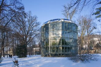 Pillnitz Palace Park in winter, camellia house