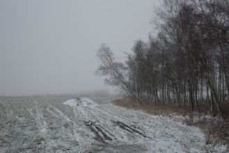 First snow in the Eastern Ore Mountains too