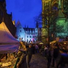 Medieval market at the Albrechtsburg in Meissen