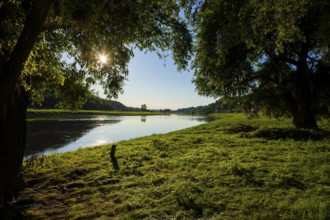 Elbe Valley near Meissen