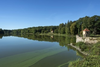 The land of Troncais . Troncais pond. Allier department. Auvergne Rhone Alpes. France