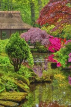 Little Japanese garden after rain, Park Clingendael, The Hague, Netherlands