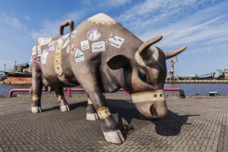 VENTSPILS, LATVIA, MARCH 30, 2014: Traveling Cow's statue. Monument is 4 meters tall and 7 meters