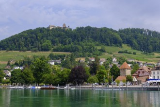 Old town with Schiffländi Hexenturm and Hohenklingen Castle, banks of the Rhine, Stein am Rhein,