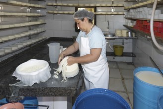 Woman farmer preparing cheese, Serra da Canastra, Sao Roque das Minas, Minas Gerais state, Brazil,