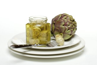 Artichoke (Cynara scolymus Cynara cardunculus) and heartsin oil (Cynara scolymus, Cynara