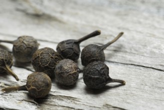 Cubeb pepper (Piper cubeba) , cubeb pepper, cubeb pepper