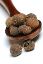 Allspice (Pimenta dioica officinalis) clove pepper, Jamaica pepper, new spice, four spice, koerner