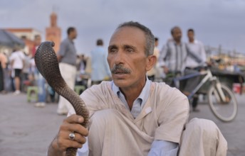 Snake charmer at Djemaa el Fna market square, historic center, Marrakesh, Marrakesh-Tensift-El