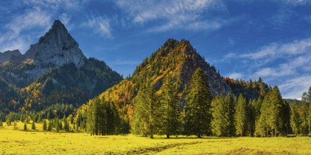 Alpine meadow near the Wankerfleck, behind it the Geiselstein, 1882m, Ammergau Alps, Ostallgäu,