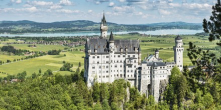 Neuschwanstein Castle near Hohenschwangau, Romantic Road, Ostallgäu, Bavaria, Germany, Europe