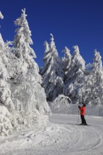 Winter landscape and cross-country ski trail in the Fichtelgebirge, Bayreuth district, Upper