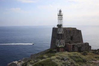 Punta Campanella, Campania, Italy, Europe