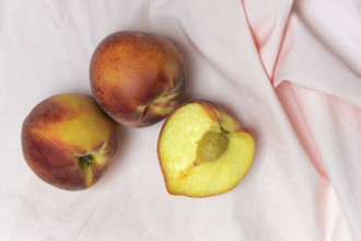 Cut peach on plate (Prunus persica)