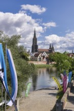 City view, Danube bank with historic old town, fishermen's quarter, cathedral, beach flags, flags,