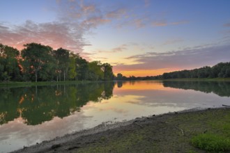 Morning glow on the banks of the Altrhein lined with deciduous trees, Xanten, Lower Rhine, North