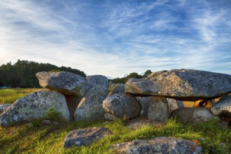 Menhirs near Carnac, megalithic culture, Brittany, France, Europe