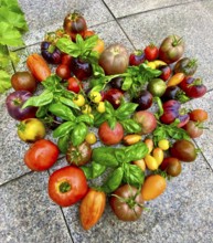 Tomatoes laid into a heart, decorated with basil