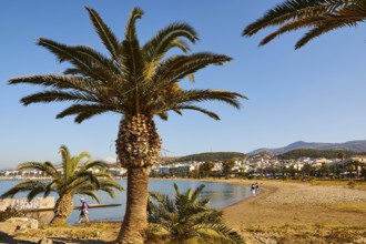 City beach, palm trees, walkers, sea, Rethimnon, Central Crete, Crete island, Greece, Europe