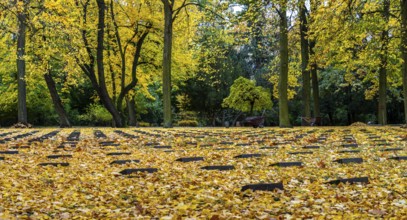 Autumn time, Volkspark Rehberge, war graves, memorial site, Berlin, Germany, Europe