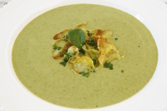 Swabian cuisine, cress soup with crisps, cress, plate with green cream soup, soup plate, garnished