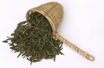 Bamboo tea strainer, green tea, dried leaves of tea plant (Camellia sinensis), unfermented,