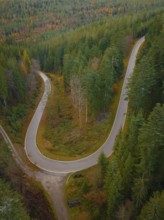 S-curve through the autumn forest, Black Forest, Germany, Europe