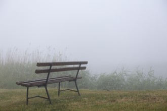 Park bench in the fog at a water hiking rest area on the river Trebel, Naturpark Flusslandschaft