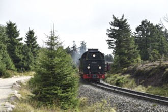 Harz narrow-gauge railway on the way to the Brocken, Saxony-Anhalt, Germany, Europe