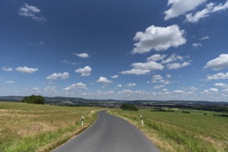 View of Franconian Switzerland, road leading to Markt Eckental, Middle Franconia, Bavaria, Germany,