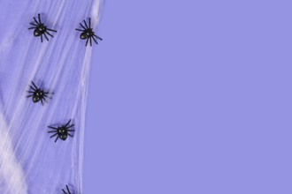 Spider webs and plastic spiders on side of purple Halloween background with copy space