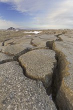 Grjotagia gaping fissure, Grjótagjá tectonic crack, Mid-Atlantic Ridge running through Iceland at