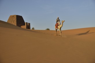 Man riding a dromedar in front of a pyramid of the northern cemetery of Meroe, Nubia, Nahr an-Nil,