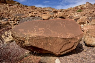 Rock engravings on a stone slab, near Rhino Spring, Mik Mountains, Kunene Region, Namibia, Africa