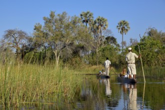 Tourists in a mokoro or dugout boat on safari in swamp area, Gomoti Plains Camp, Gomoti Concession