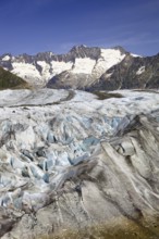 Wannenhorn, Aletsch Glacier, Valais, Switzerland, Europe