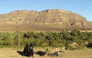 Morocco, Draa Valley, Africa