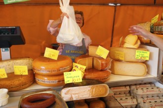 Cheese stall at the market, Den Burg, Texel, Cheese stall, Netherlands