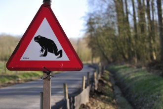 Warning sign for migrating amphibians/toads crossing the road during the annual spring migration,